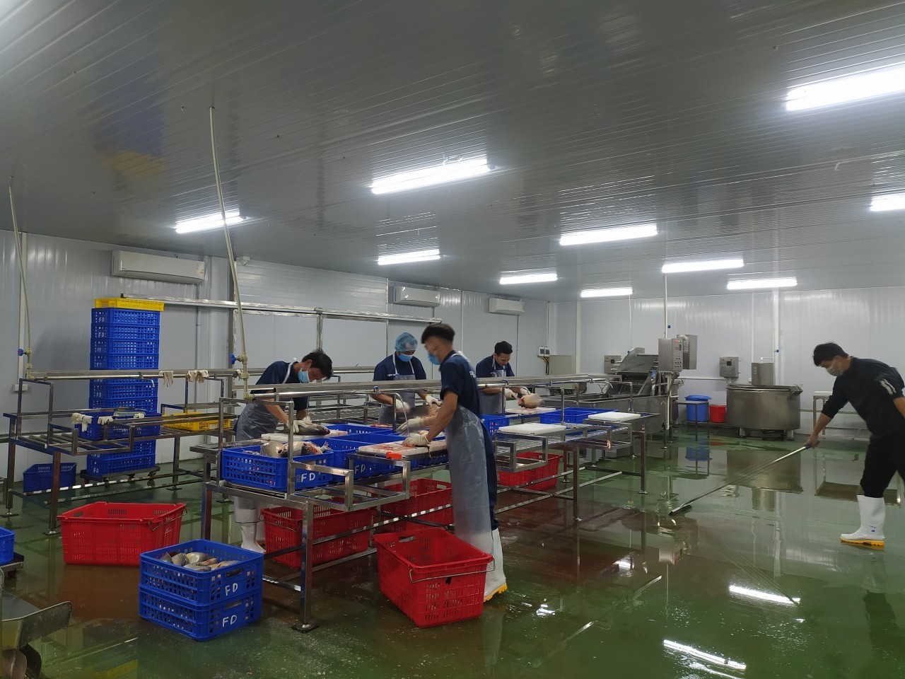 Hà Nội mở rộng mô hình nuôi trồng thủy sản hữu cơ