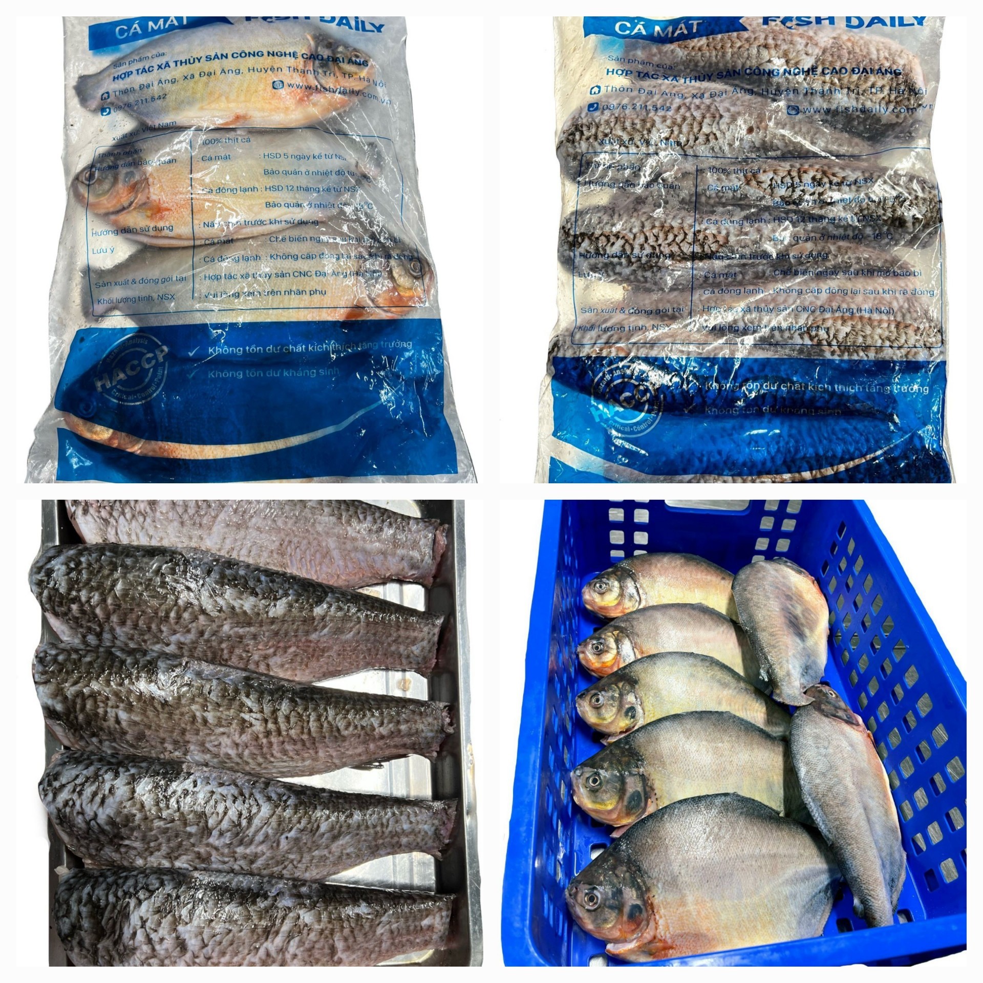 Hà Nội mở rộng mô hình nuôi trồng thủy sản hữu cơ