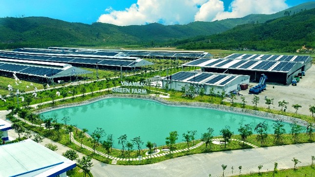 Hơn một thập niên, Vinamilk giữ vững ngôi vị trong các bảng xếp hạng doanh nghiệp niêm yết hàng đầu Hơn một thập niên, Vinamilk giữ vững ngôi vị trong các bảng xếp hạng doanh nghiệp niêm yết hàng đầu ảnh 4