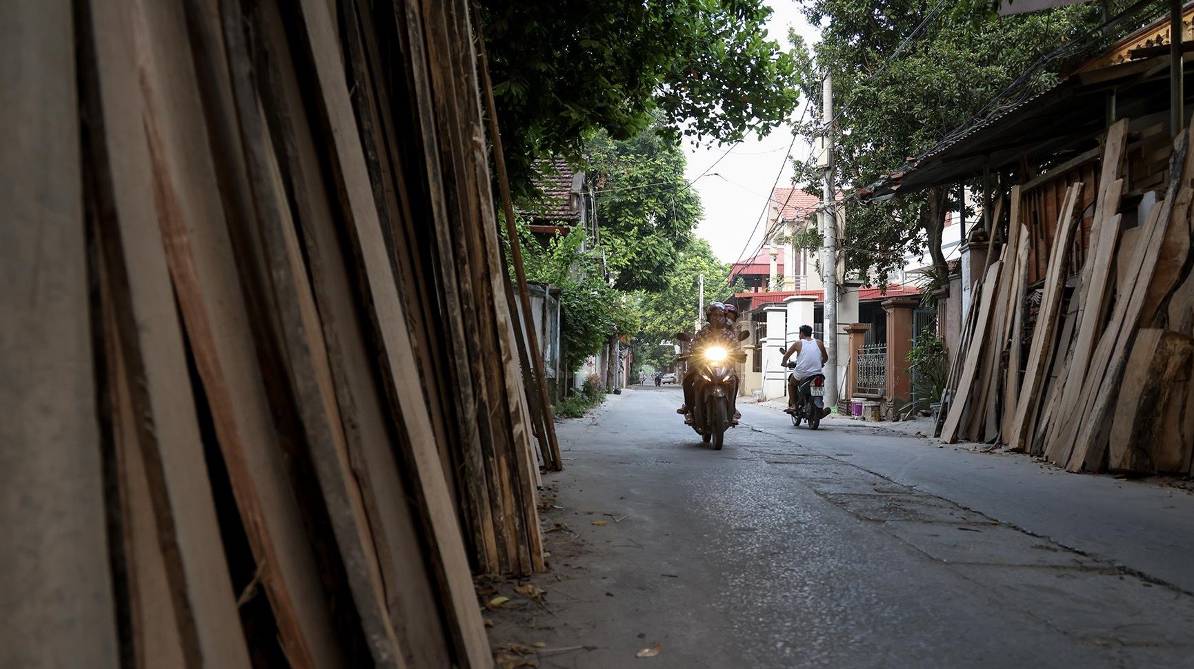 Về làng Thủ Độ, gỗ hiện diện ở hầu khắp đường làng, ngõ xóm Về làng Thủ Độ, gỗ hiện diện ở hầu khắp đường làng, ngõ xóm