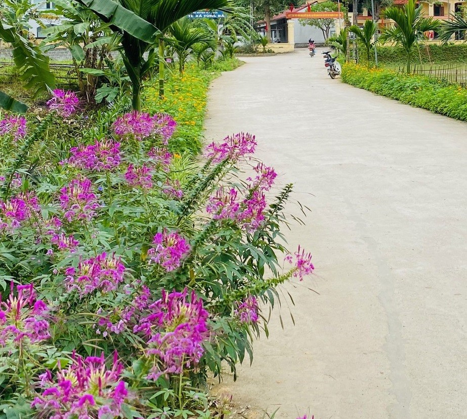 Hoà Bình: Những con đường hoa tươi đẹp
