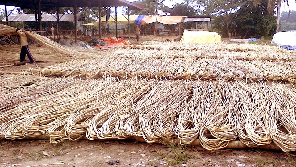 Làng nghề Việt Nam - Sản xuất sạch hơn và tiết kiệm năng lượng hướng tới phát triển bền vững Làng nghề Việt Nam - Sản xuất sạch hơn và tiết kiệm năng lượng hướng tới phát triển bền vững