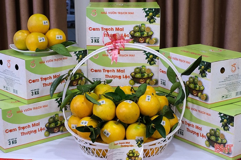 Hà Tĩnh phân bổ 6,3 tỷ đồng thực hiện chuyển đổi số trong xây dựng nông thôn mới Hà Tĩnh phân bổ 6,3 tỷ đồng thực hiện chuyển đổi số trong xây dựng nông thôn mới