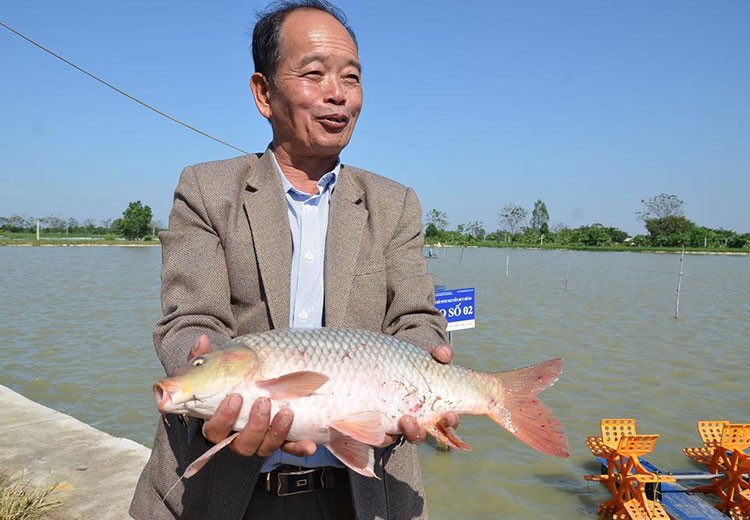 Hà Nội tạo hướng đi mới từ đầu tư vào nông nghiệp công nghệ cao Hà Nội tạo hướng đi mới từ đầu tư vào nông nghiệp công nghệ cao