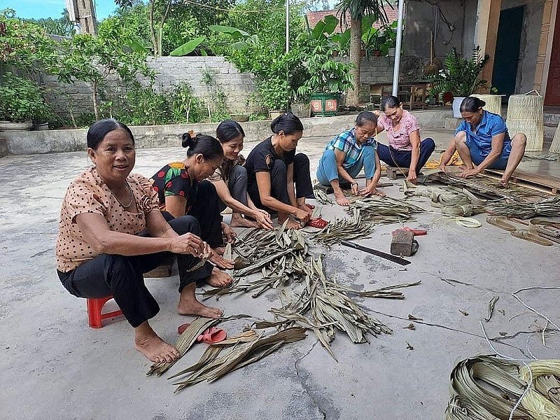Lá cọ được sắp lại thành từng bó nhỏ theo từng loại lá cổ, lá vai,.. Lá cọ được sắp lại thành từng bó nhỏ theo từng loại lá cổ, lá vai,..