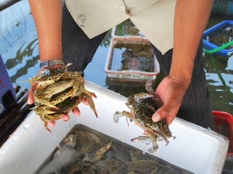 Một thoáng trên đầm Lập An