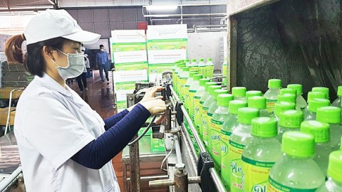 quang ninh ho tro 655 ti dong cho de an khuyen cong