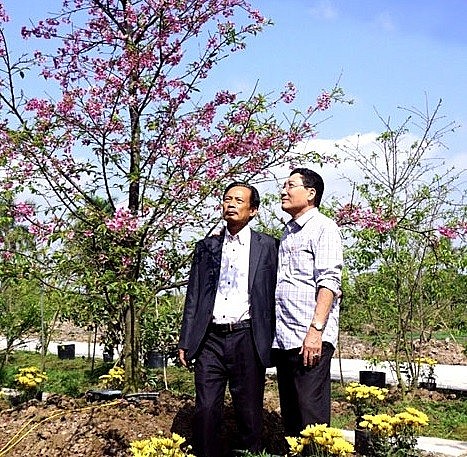 Người nhân giống thành công cây hoa anh đào SAKURA trên vùng đất cảng