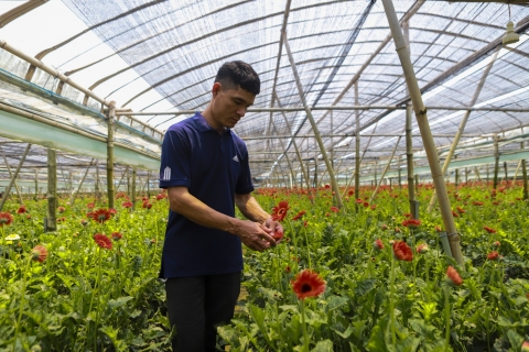 Hà Nội sáng tạo đi đầu trong xây dựng nông thôn mới