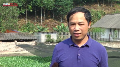 Chuyển đổi cơ cấu kinh tế nuôi ba ba – nhiều nông dân Yên Bái sở hữu cơ ngơi tiền tỷ