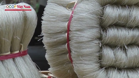 Miến đao Giới Phiên - Sạch từ cánh đồng đến bàn ăn