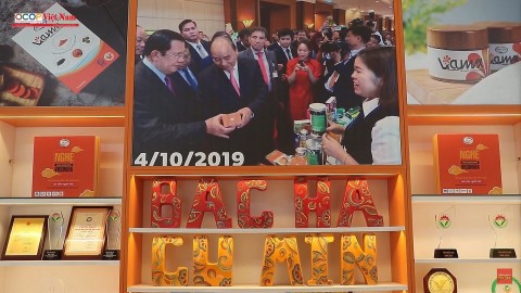 Trà giảo cổ lam - Thảo dược trên núi đá