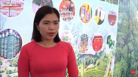 sam nam nui danh bau vat cua vung dat tan yen bac giang
