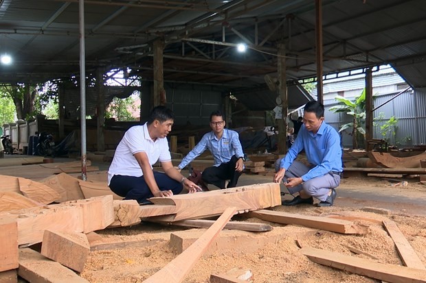 Ông Nguyễn Văn Minh (bên trái) chia sẻ về quy trình làm nhà từ gỗ mít . Ảnh: Hữu Quyết - TTXVN
