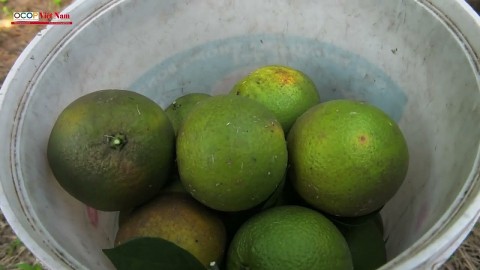 cam k4 thu phu vung cam cua tinh quang tri