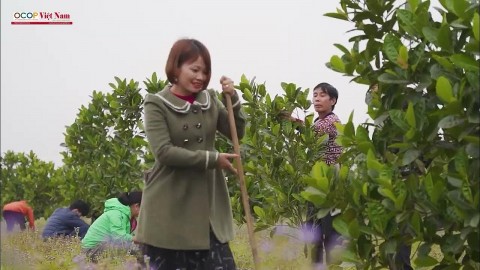 htx tra thao moc cua nhung nguoi khuyet tat