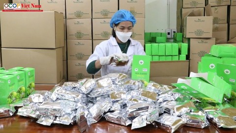 tra matcha made in vietnam vi suc khoe cong dong