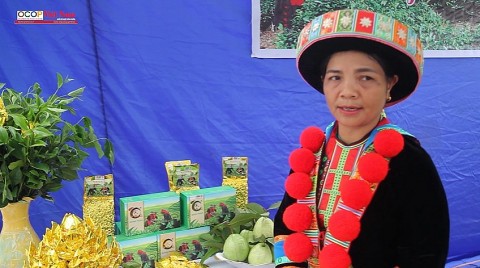 bac kan ngay hoi cam quyt va gioi thieu san pham ocop gan voi cac hoat dong van hoa du lich