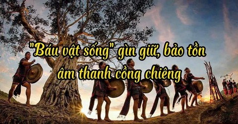 bau vat song giu gin bao ton am thanh cong chieng