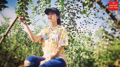 phat trien kinh te tu mo hinh da canh o an giang