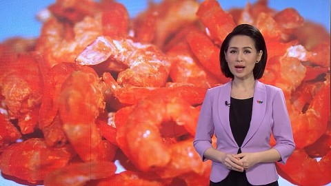 ca mau no luc quang ba nhung san pham thuong hieu