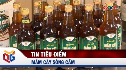 mam cay song cam san pham ocop noi tieng cua dong trieu quang ninh