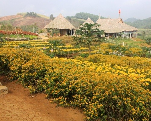 Thanh Hoá: Hiệu quả tích cực từ kết hợp mô hình nông nghiệp với du lịch sinh thái