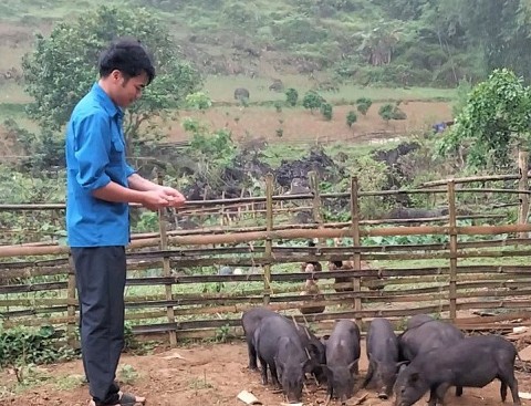 hoa binh tich cuc ho tro giup do thanh nien khoi nghiep