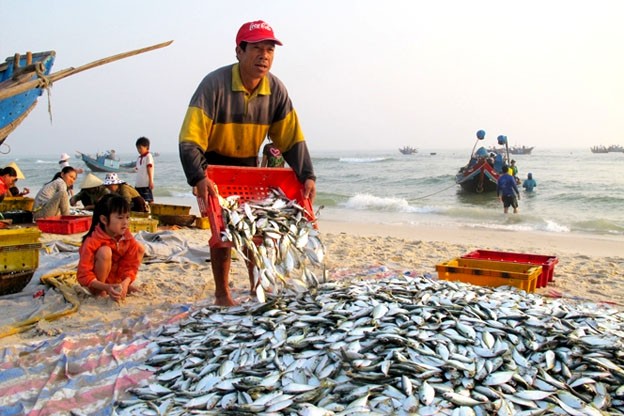 Làng nghề nướng cá ở Nghệ An luôn đỏ lửa bất kể nắng, mưa