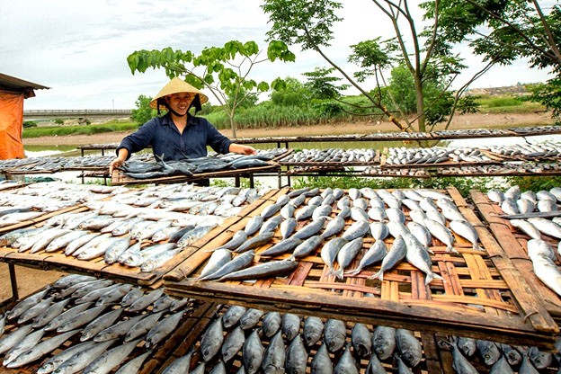 Những mẻ cá tươi được người dân mua về để nướng