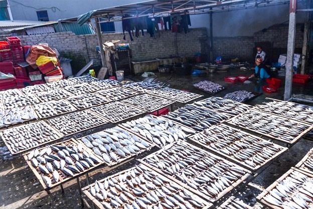 Làng nghề nướng cá ở Nghệ An luôn đỏ lửa bất kể nắng, mưa