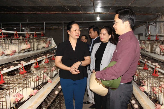 Quảng yên (quảng Ninh): Giúp nông dân làm giàu trên quê hương