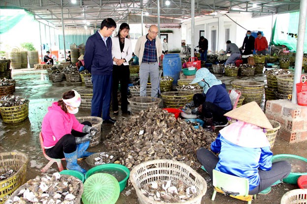 Cơ sở sản xuất kinh doanh hầu hà của chị Nguyễn Thị Thùy, xã Hoàng Tân Cơ sở sản xuất kinh doanh hầu hà của chị Nguyễn Thị Thùy, xã Hoàng Tân