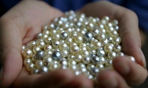 Quảng Ninh: Chính sách hỗ trợ phát triển làng nghề và sản phẩm OCOP