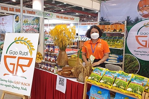 thi xa dong trieu phat trien ocop ben vung