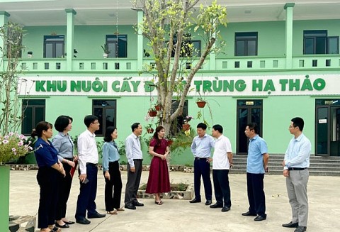 OCOP và khuyến công giúp sản phẩm cất cánh
