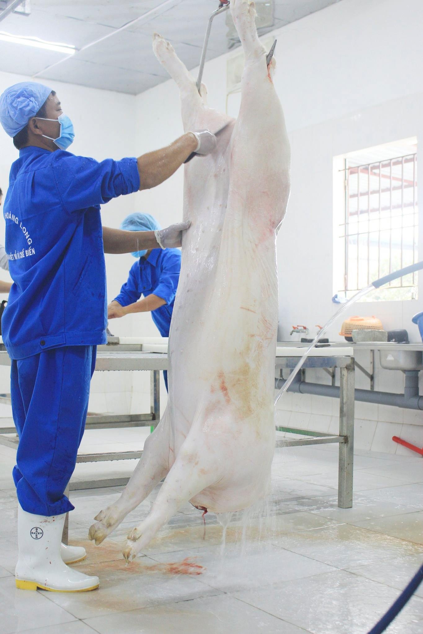 Thanh Oai đổi mới sáng tạo trong nông nghiệp phấn đấu đạt chuẩn nông thôn mới nâng cao vào năm 2024