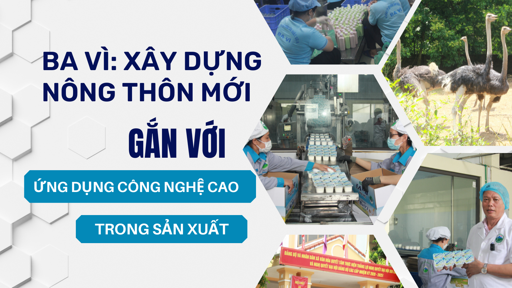 Ba Vì: Xây dựng nông thôn mới gắn với ứng dụng công nghệ cao trong sản xuất