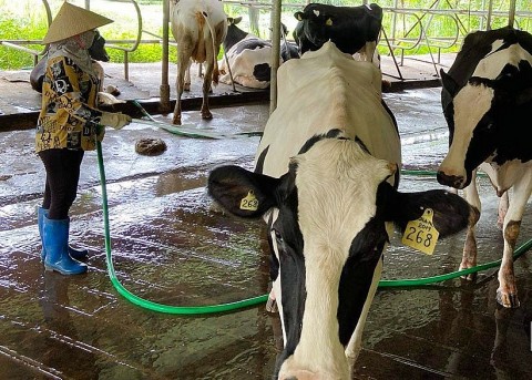 Hoà Bình: Phát triển kinh tế từ phong trào nông dân thi đua sản xuất, kinh doanh giỏi