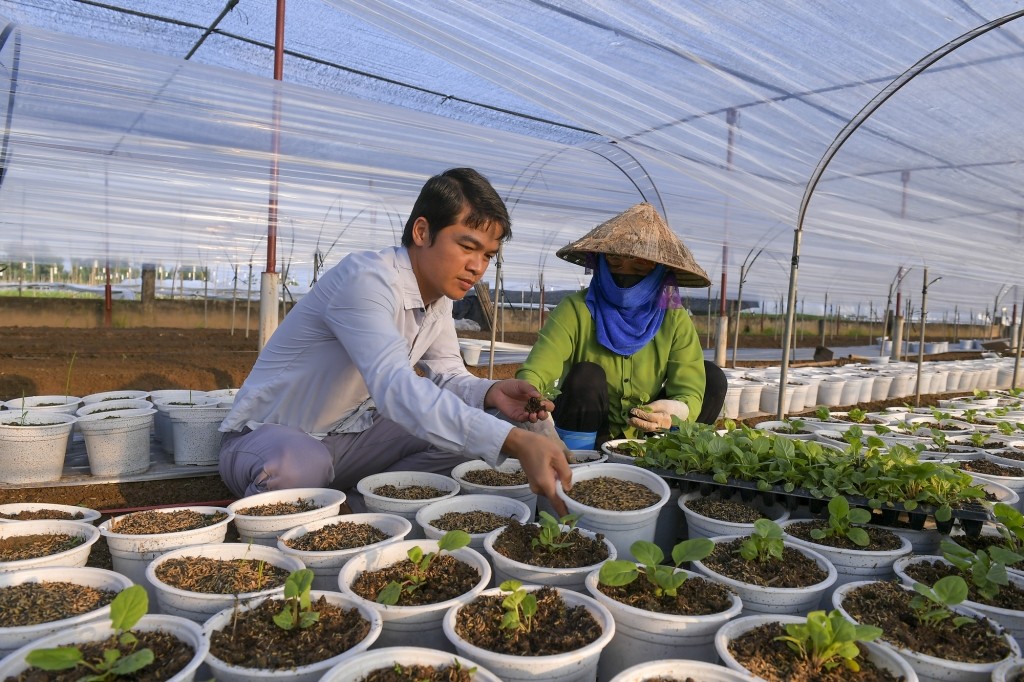 Nguyễn Xuân Trường (sinh năm 1988) là một trong những gương thanh niên khởi nghiệp sáng tạo thành công với mô hình nuôi cấy mô và ứng dụng công nghệ cao trong sản xuất nông nghiệp được nhiều bạn trẻ biết đến. Nguyễn Xuân Trường (sinh năm 1988) là một trong những gương thanh niên khởi nghiệp sáng tạo thành công với mô hình nuôi cấy mô và ứng dụng công nghệ cao trong sản xuất nông nghiệp được nhiều bạn trẻ biết đến.