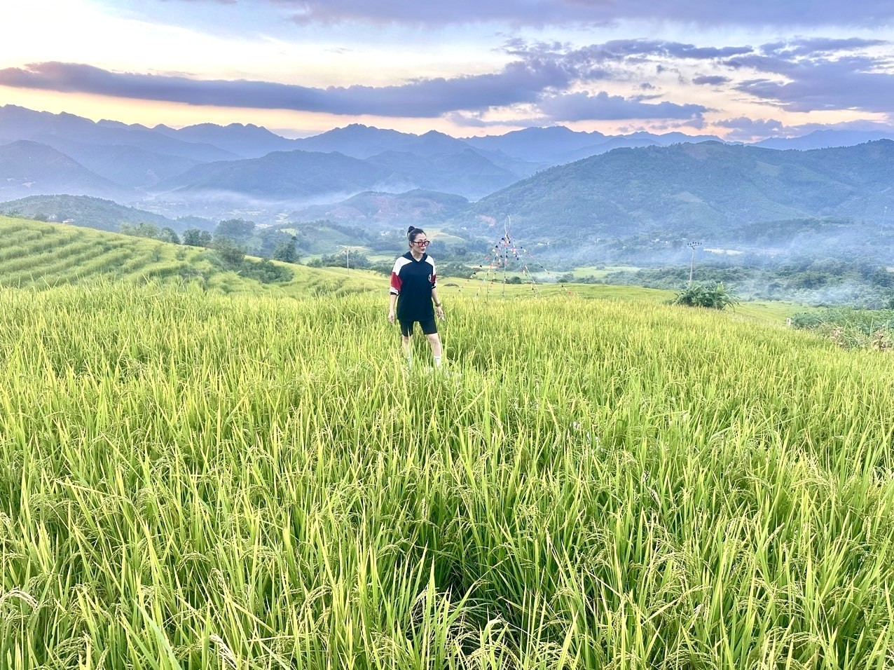 Rực rỡ Mùa vàng ở Bình Liêu