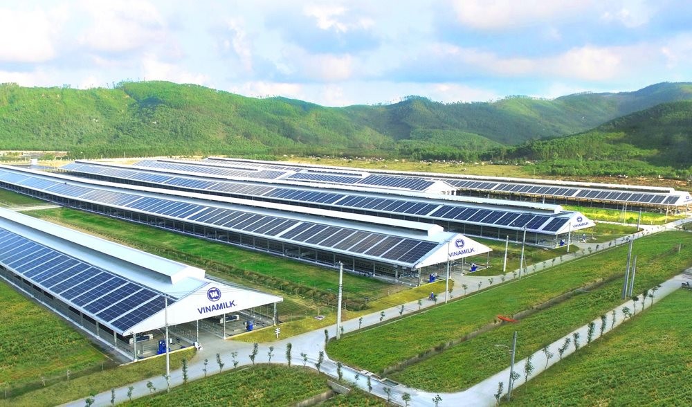 Vinamilk đồng hành cùng chuỗi hoạt động của CLB Báo chí Phát triển Xanh
