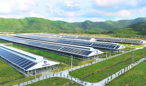 Vinamilk đồng hành cùng chuỗi hoạt động của CLB Báo chí Phát triển Xanh