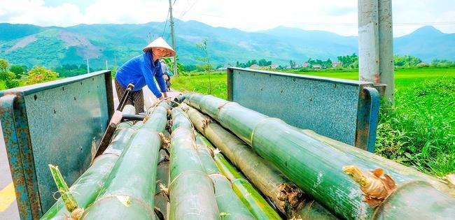 Nguyên liệu đan đát là tre được người dân làng nghề mua ở địa phương và các vùng lân cận như Mỹ Chánh, Mỹ Cát (Phù Mỹ) về cắt khúc, chẻ nan rồi phơi khô, sau đó nấu nan bằng nước muối phơi khô lần nữa đảm bảo độ bền, dẻo rồi tiến hành đan. Nguyên liệu đan đát là tre được người dân làng nghề mua ở địa phương và các vùng lân cận như Mỹ Chánh, Mỹ Cát (Phù Mỹ) về cắt khúc, chẻ nan rồi phơi khô, sau đó nấu nan bằng nước muối phơi khô lần nữa đảm bảo độ bền, dẻo rồi tiến hành đan.