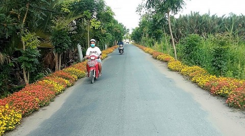 nhung giai phap hieu qua cua tp ho chi minh trong xay dung nong thon moi nang cao nong thon moi kieu mau