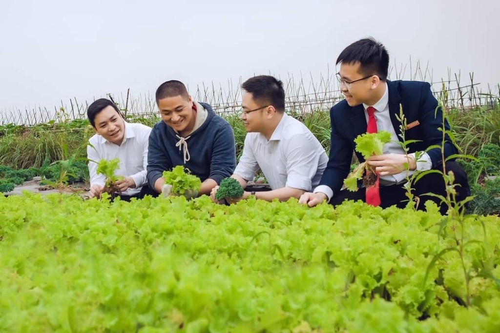 Mô hình trồng rau sạch của anh Phạm Mạnh Cường, xã Liên Phương (thành phố Hưng Yên) Mô hình trồng rau sạch của anh Phạm Mạnh Cường, xã Liên Phương (thành phố Hưng Yên)