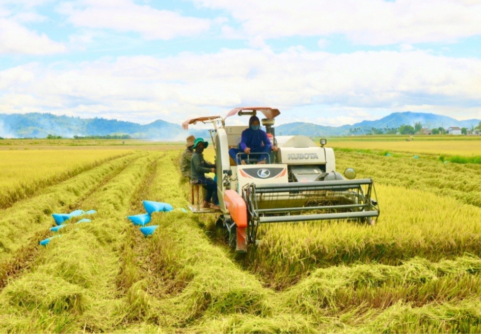 Bình Thuận: Đột phá trong xây dựng nông thôn mới
