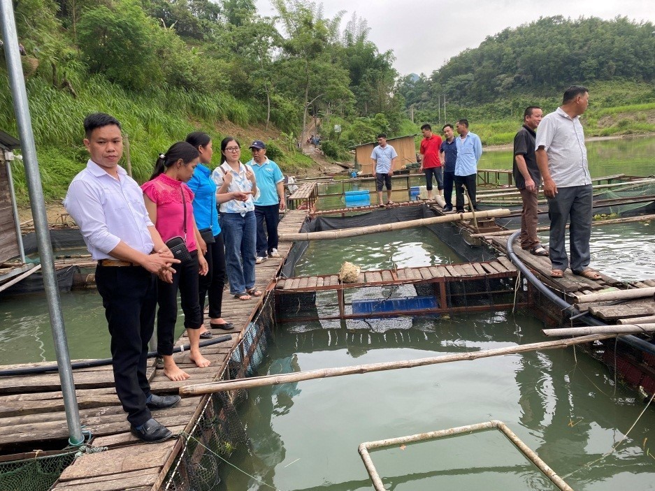 Nhiều mô hình nuôi cá lồng trên địa bàn tỉnh đem lại hiệu quả kinh tế cao. Nhiều mô hình nuôi cá lồng trên địa bàn tỉnh đem lại hiệu quả kinh tế cao.