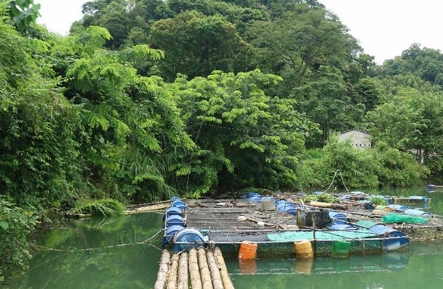 Hiệu quả từ các mô hình khuyến nông, khuyến lâm ở Cao Bằng