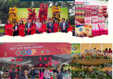 Không gian quảng bá, kết nối sản phẩm OCOP tại Lâm Đồng có hơn 50 đơn vị tham gia kết nối